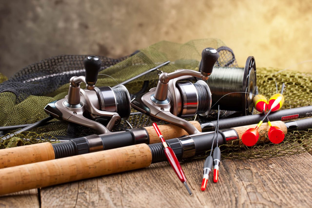 Baits | Nine Oaks Fisheries